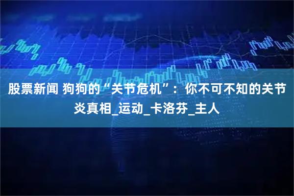 股票新闻 狗狗的“关节危机”：你不可不知的关节炎真相_运动_卡洛芬_主人